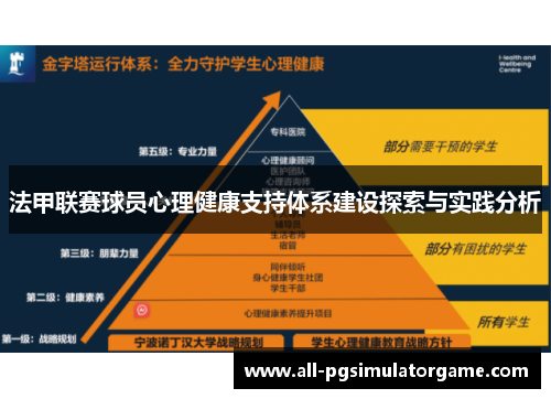 法甲联赛球员心理健康支持体系建设探索与实践分析