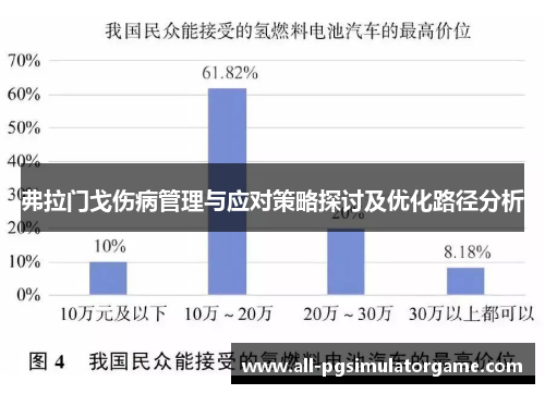 弗拉门戈伤病管理与应对策略探讨及优化路径分析