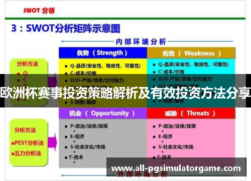 欧洲杯赛事投资策略解析及有效投资方法分享