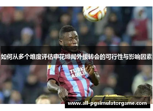 如何从多个维度评估申花绯闻外援转会的可行性与影响因素