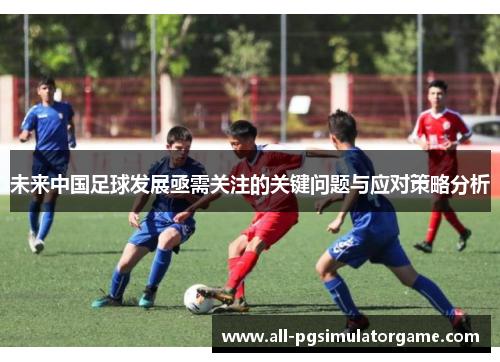 未来中国足球发展亟需关注的关键问题与应对策略分析