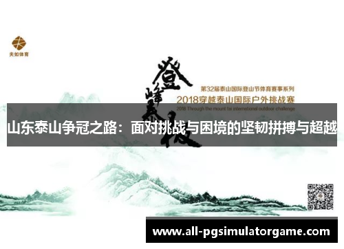 山东泰山争冠之路：面对挑战与困境的坚韧拼搏与超越