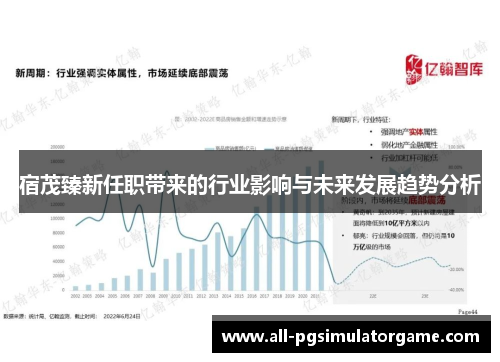 宿茂臻新任职带来的行业影响与未来发展趋势分析