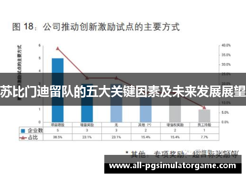 苏比门迪留队的五大关键因素及未来发展展望