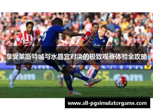 享受莱斯特城与水晶宫对决的极致观赛体验全攻略