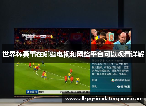 世界杯赛事在哪些电视和网络平台可以观看详解