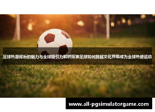 足球热潮背后的魅力与全球吸引力解析探索足球如何跨越文化界限成为全球热爱运动