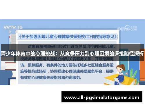青少年体育中的心理挑战：从竞争压力到心理困境的多维路径探析