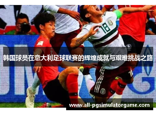 韩国球员在意大利足球联赛的辉煌成就与艰难挑战之路