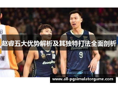 赵睿五大优势解析及其独特打法全面剖析