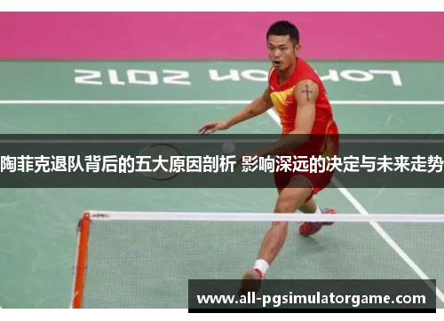 陶菲克退队背后的五大原因剖析 影响深远的决定与未来走势 陶菲克退队背后的五大原因剖析 影响深远的决定与未来走势