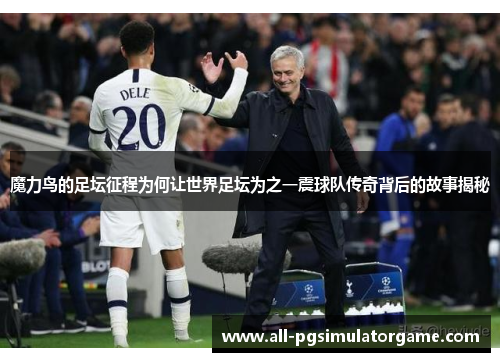魔力鸟的足坛征程为何让世界足坛为之一震球队传奇背后的故事揭秘
