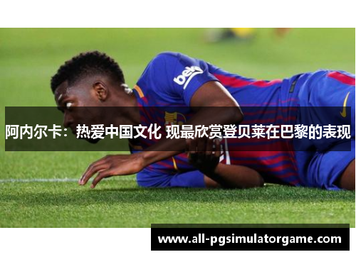 阿内尔卡：热爱中国文化 现最欣赏登贝莱在巴黎的表现